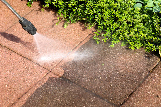 Best Exterior Home Cleaning  in Dunlap, OH